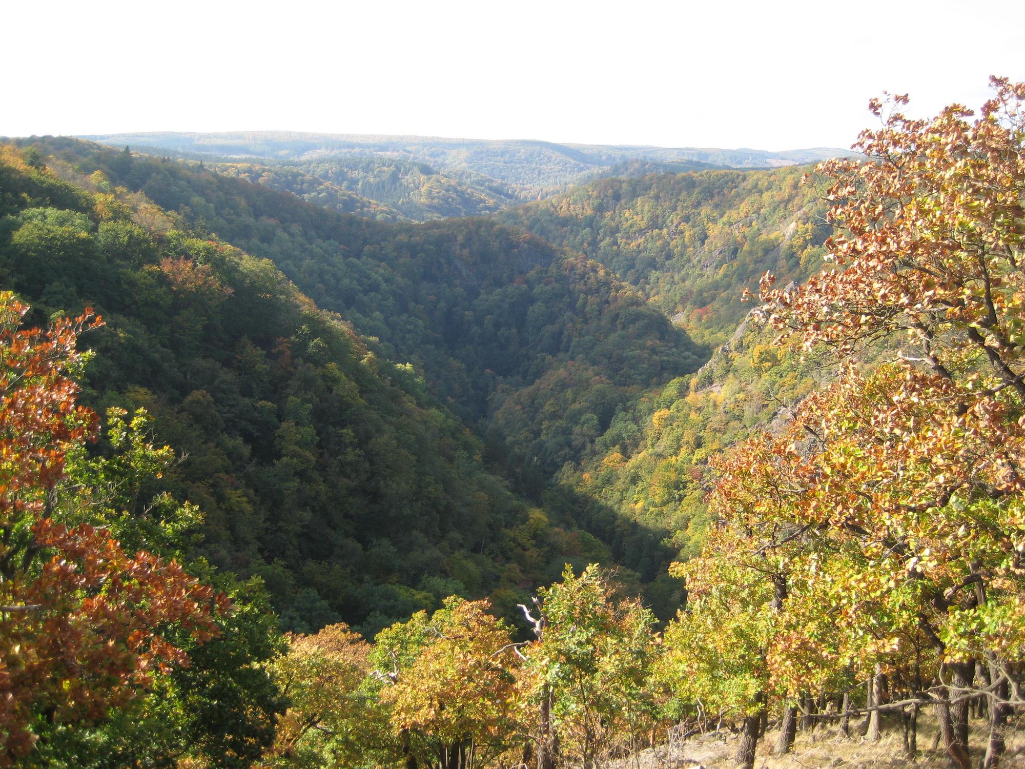 Bildstrecke Bild Bodetal